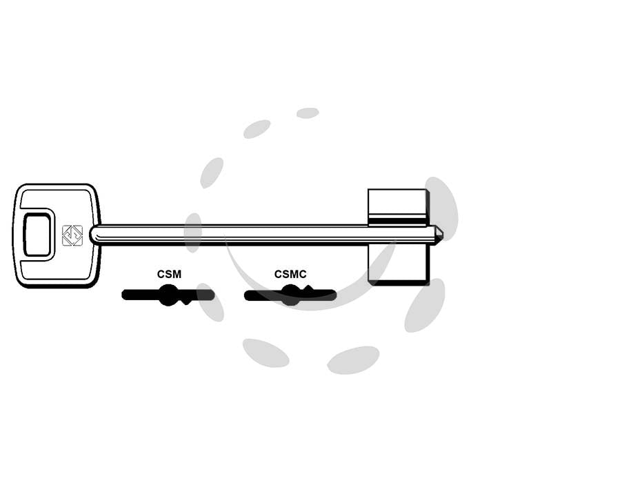 CHIAVI DOPPIA MAPPA CISA CSM - CSMC