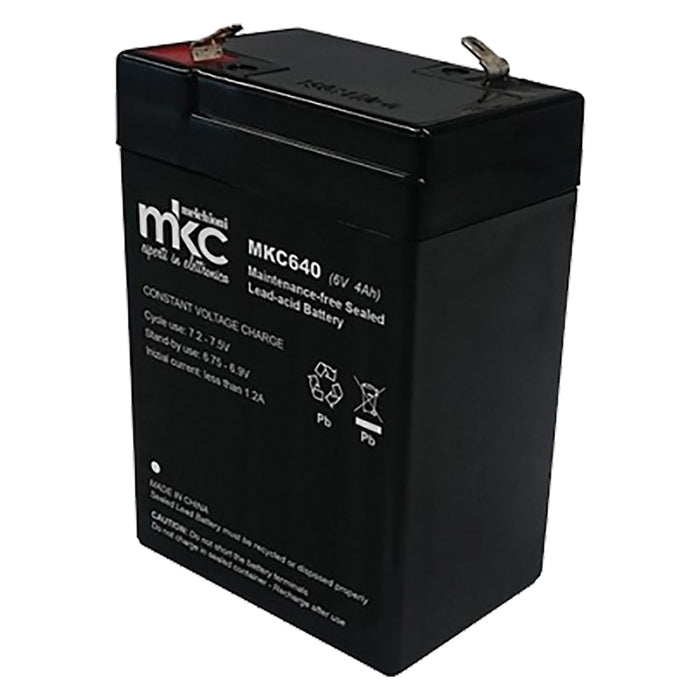 RECHARGEABLE BATTERY mm.70 x 47 x h.106 - 4 Ah