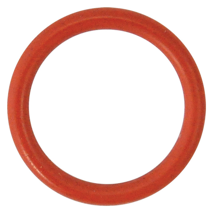 GUARNIZIONE O-RING PER PERNO per N 5 - mm 29,82 x  2,62